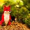 Lego Fox (HvE-20121019-7685)