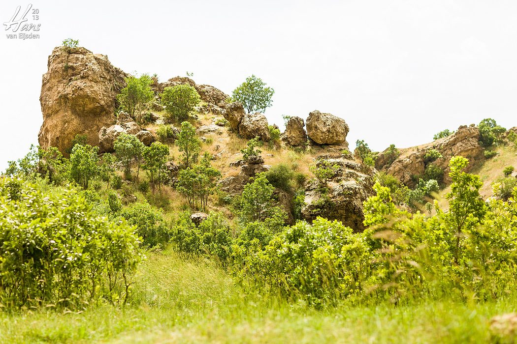 Iraqi Kurdistan (HvE-20130514-0063)