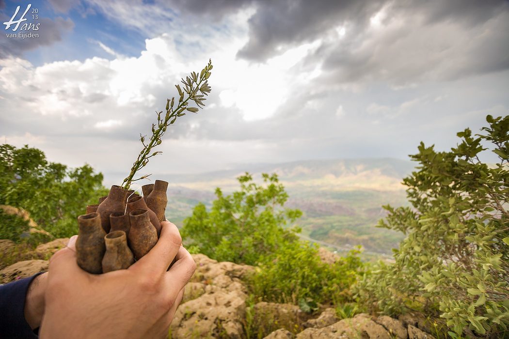 Iraqi Kurdistan (HvE-20130514-0294)