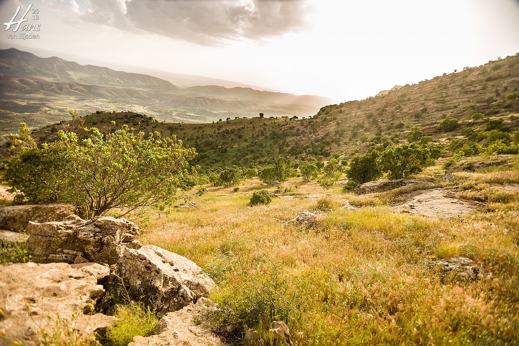 Iraqi Kurdistan (HvE-20130514-0388)