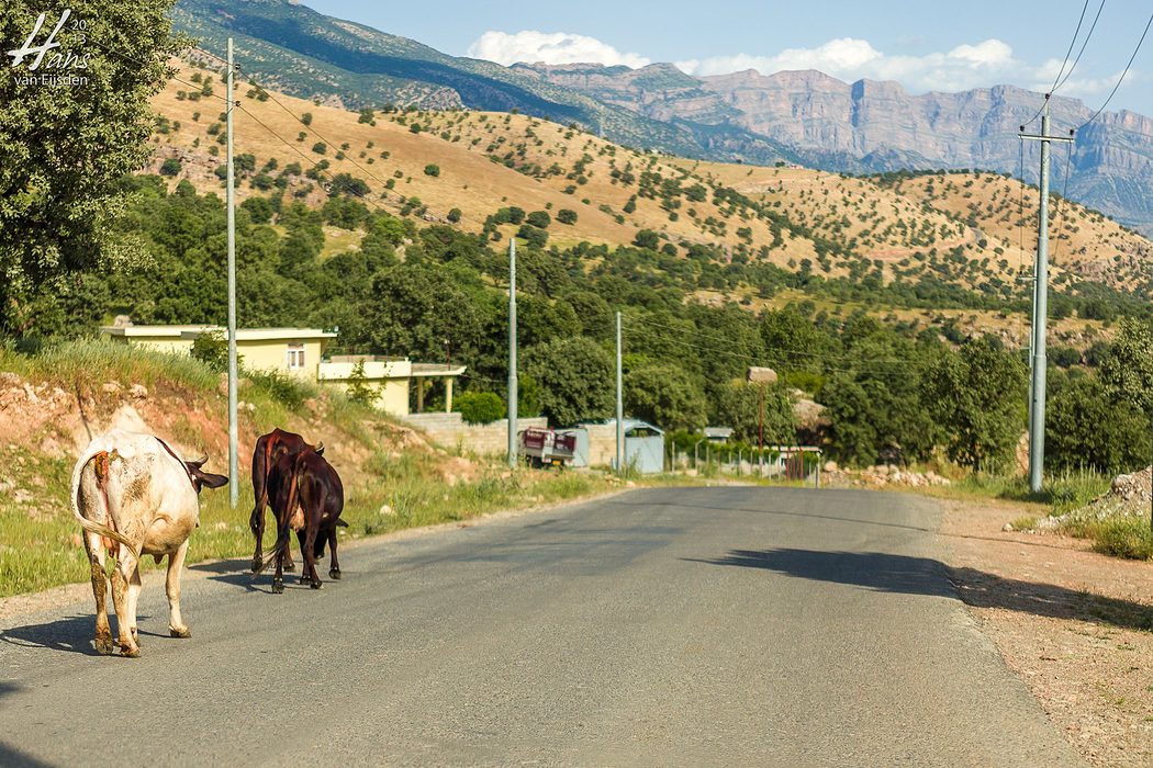 Iraqi Kurdistan (HvE-20130518-1182)