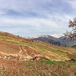 Halgort Mountains (HvE-20140402-2533)