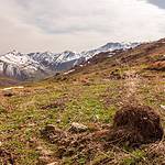 Halgort Mountains (HvE-20140402-8288)