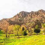 Halgort Mountains (HvE-20140402-8608)