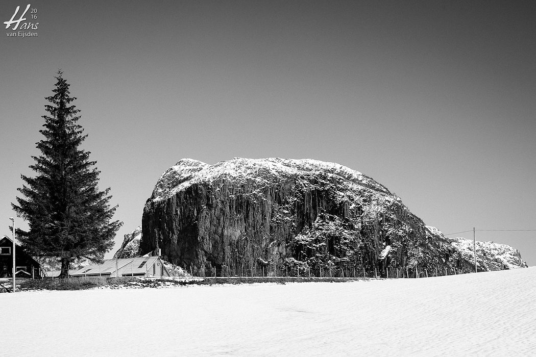 Tree & Rock (HvE-20160226-5710-HDR)