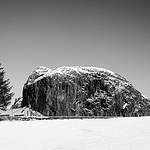 Tree & Rock (HvE-20160226-5710-HDR)