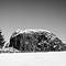 Tree & Rock (HvE-20160226-5710-HDR)